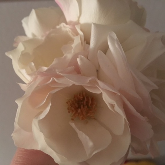 Meet your Posher, H - Picture 15 of 16